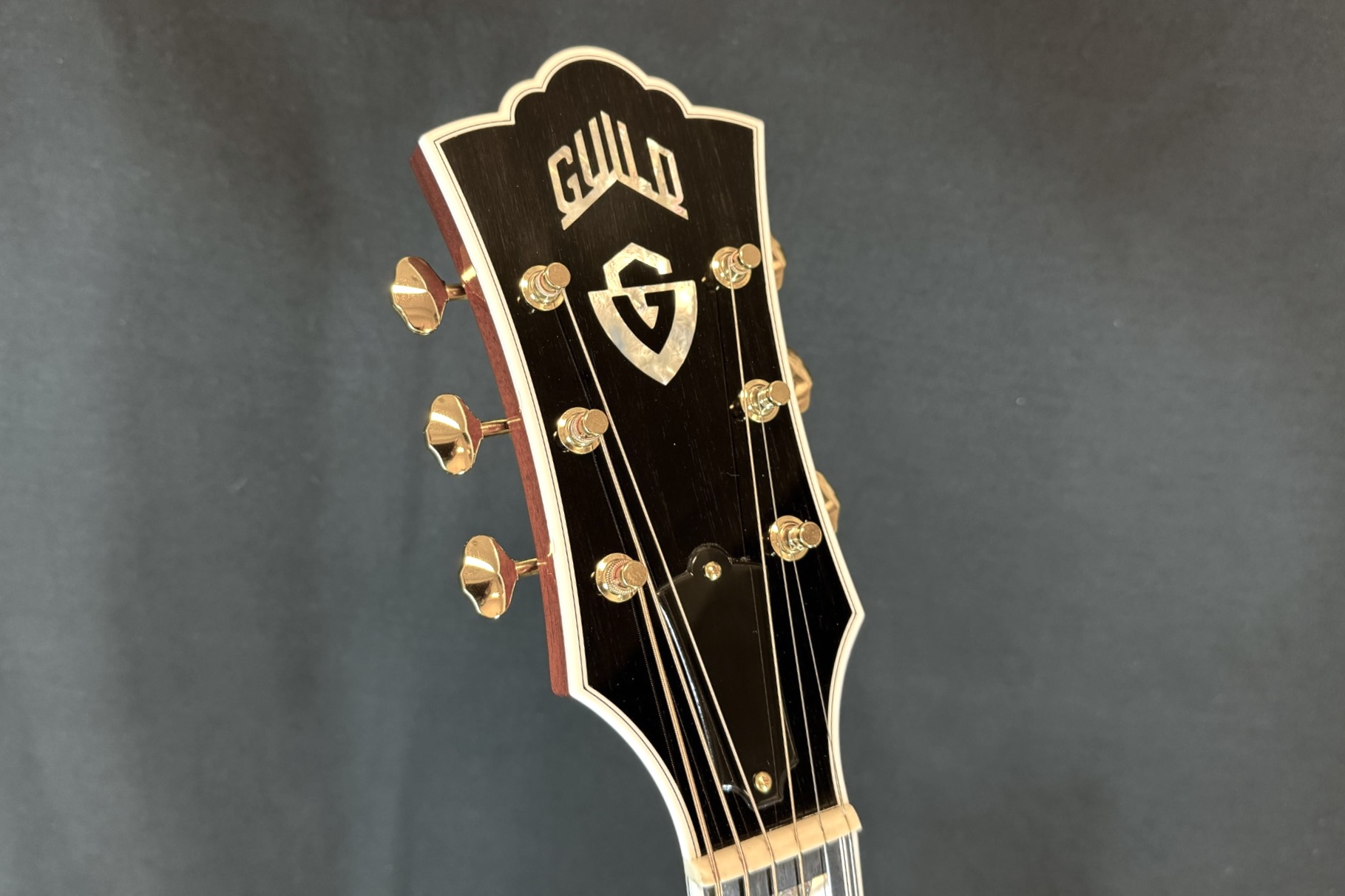 アルバトス　Guild D-55　ミニチュアギター模型 D-55 Series - ギター